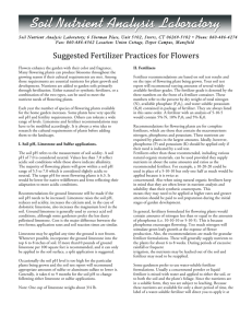 Suggested Fertilizer Practices for Flowers