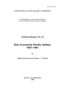 Technical Report No. 43