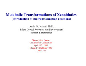 Metabolic Transformations of Xenobiotics