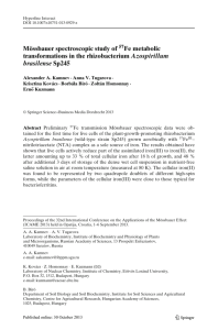 Mössbauer spectroscopic study of 57Fe metabolic transformations in