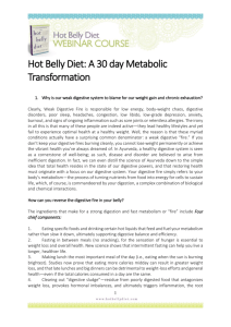 Hot Belly Diet: A 30 day Metabolic Transformation
