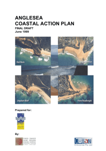 Anglesea Coastal Action Plan
