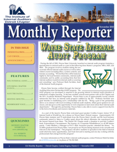 WAYNE STATE INTERNAL AUDIT PROGRAM