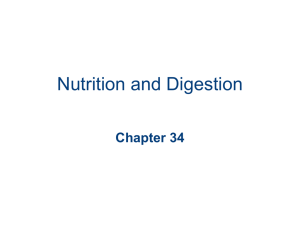 Nutrition and Digestion