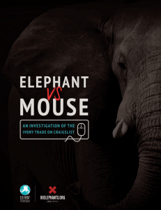Elephant vs. Mouse: An Investigation of the Ivory Trade on Craigslist