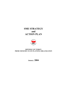 SME STRATEGY and ACTION PLAN