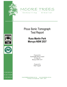 Picus Sonic Tomograph Test Report