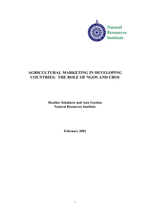 agricultural marketing in developing countries: the role of ngos and