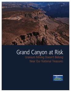 Grand Canyon at Risk - Environment America