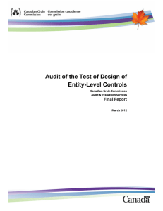 Audit of the Test of Design of Entity