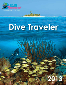 Dive Traveler