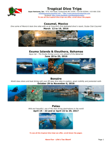 Tropical Dive Trips - Aqua Ventures Online