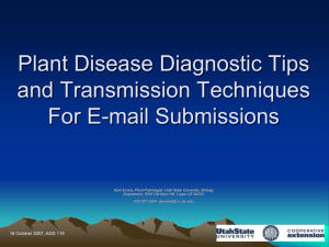 Plant Disease Diagnostic Tips and Transmission