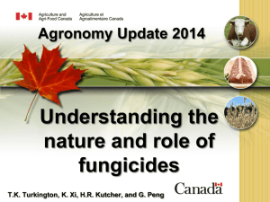Understanding the nature and role of fungicides