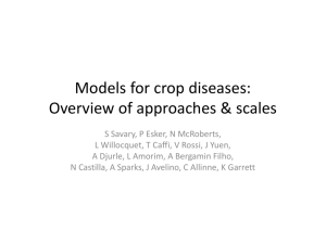 Models for crop diseases: Overview of approaches & scales