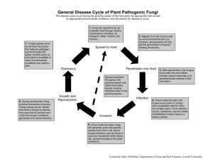 General Disease Cycle of Plant Pathogenic Fungi