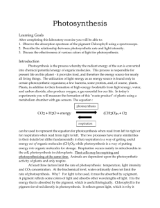 Lab 7, Photosynthesis, Jim 1-19