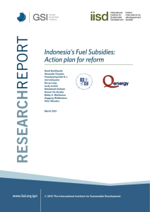 Indonesia's Fuel Subsidies: Action plan for reform