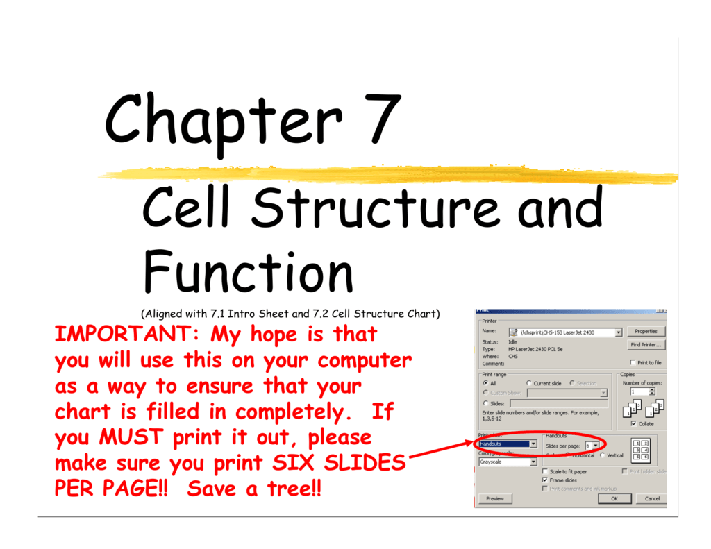 Cell Structure Chart