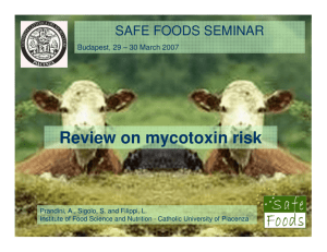 Review on mycotoxin risk