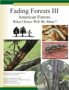Fading Forests - The Nature Conservancy