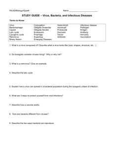 STUDY GUIDE – Virus, Bacteria, and Infectious Diseases
