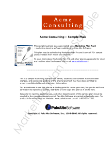 Acme Consulting— Sample Plan