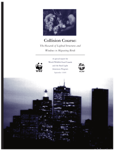 Collision Course: