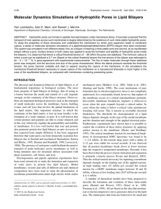 Molecular Dynamics Simulations of Hydrophilic Pores in