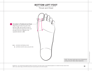 BOTTOm LEFT FOOT - Family Foot Reflexology