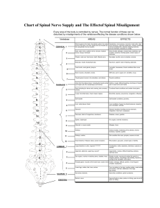 Chart of Spinal Nerve Supply and The Effect of Spinal Misalignment