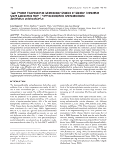 Two-Photon Fluorescence Microscopy Studies of Bipolar Tetraether