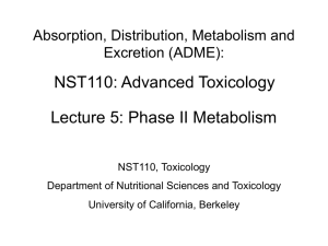 Phase II Metabolism - University of California, Berkeley