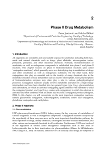 Phase II Drug Metabolism