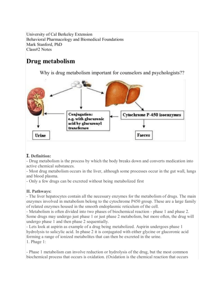 drug-metabolism