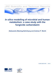 In silico modelling of microbial and human metabolism: a case study