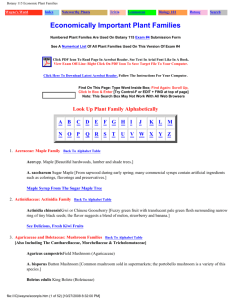 Botany 115 Economic Plant Families - Wayne's Word