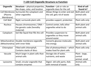7.12D Cell Organelle Structure vs Function
