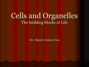 Cells and Organelles - Highline School District