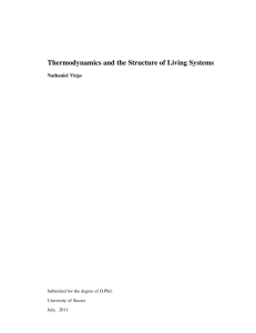 Thermodynamics and the Structure of Living Systems