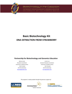 DNA Extraction from Strawberry - the Partnership for Biotechnology