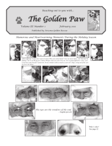 View and Print - Arizona Golden Rescue