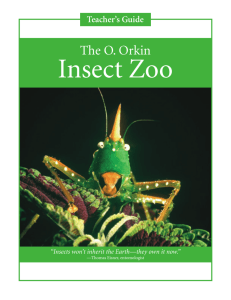 O. Orkin Insect Zoo Teacher's Guide