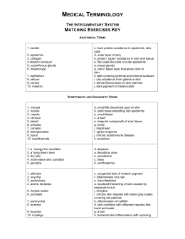 Integumentary System Review Worksheet