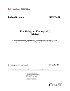 Biology Document BIO1994-11 The Biology of Zea mays (L.) (Maize)