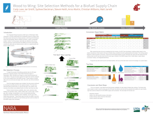 Wood to wing site selection methods for biofuel supply chain