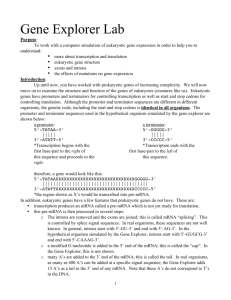 Gene Explorer Lab - Bio 111 and 112 Home Page