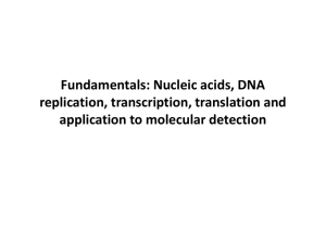 Fundamentals: Nucleic acids, DNA replication, transcription