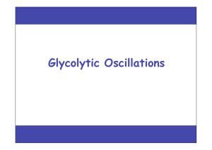 Glycolytic Oscillations
