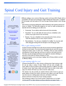 Spinal Cord Injury and Gait Training